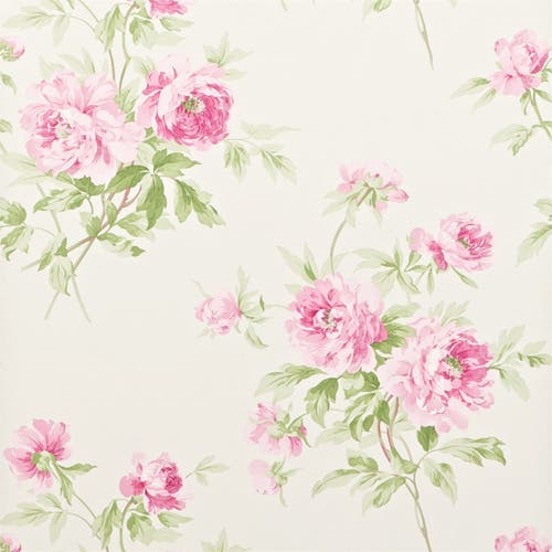 Sanderson - Adele Raspberry/Ivory Sanderson One Sixty Wallp