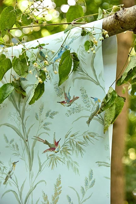 Sanderson - Fruit Aviary Duck Egg/Mul Country Woodland Wallcove