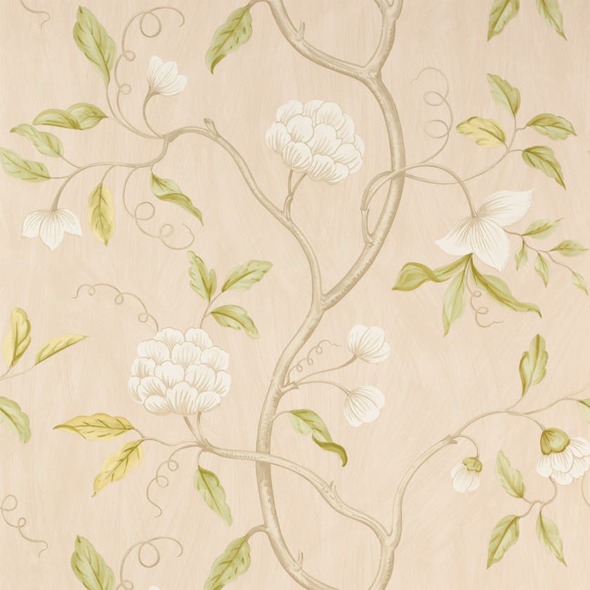 Colefax and Fowler - Snow Tree Old Pink
