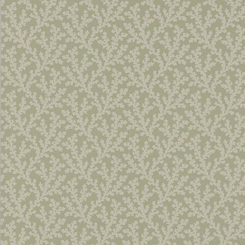 Colefax and Fowler - Sea Coral Willow