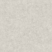 BETON UNI TAUPE GRIS CLAI BETON 2