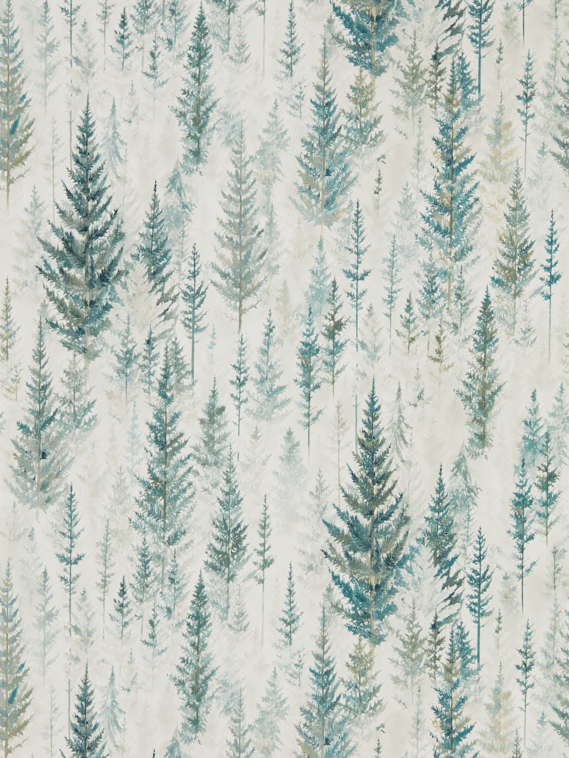 Sanderson - Juniper Pine Forest Elysian Wallpapers