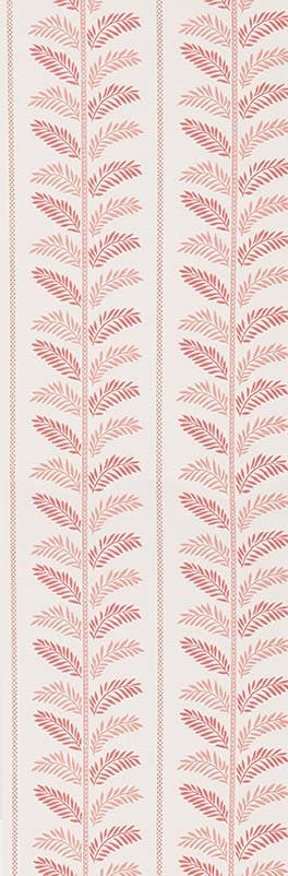 PLUMIER NC SIGNATURE PLUMIER CORA