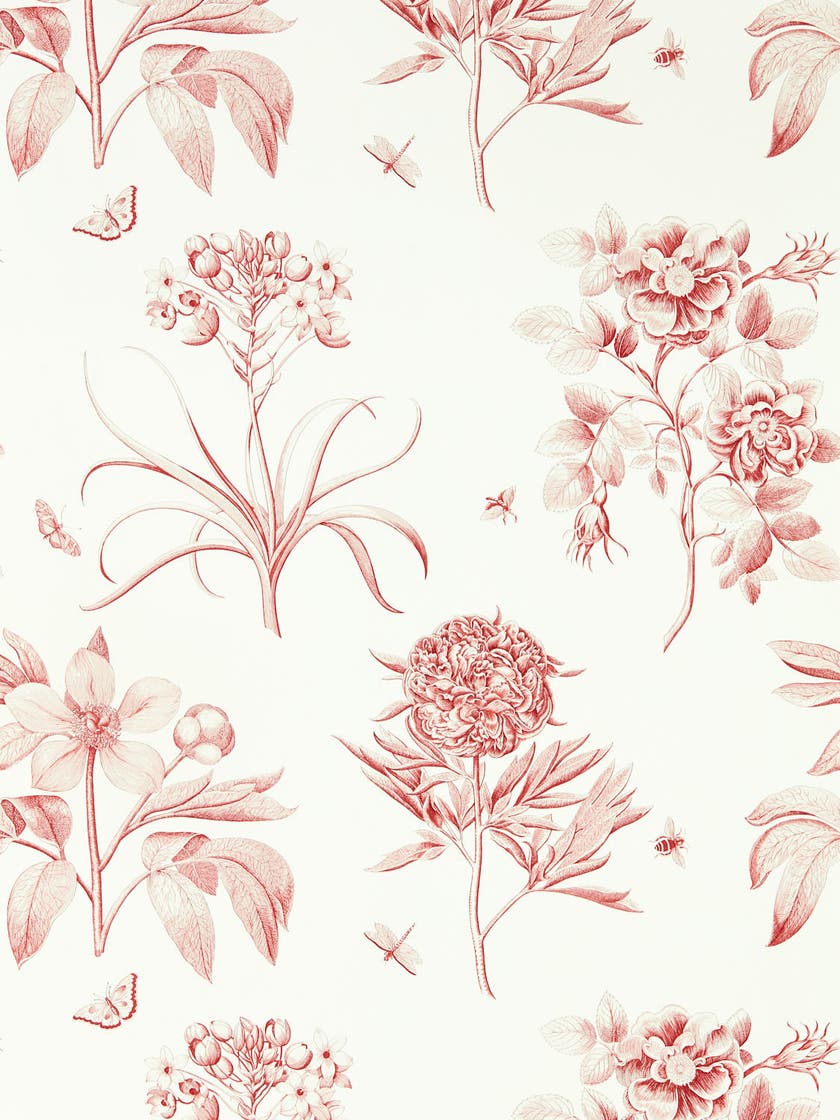 Sanderson - Etchings & Roses Amanpuri Sanderson One Sixty Wallp