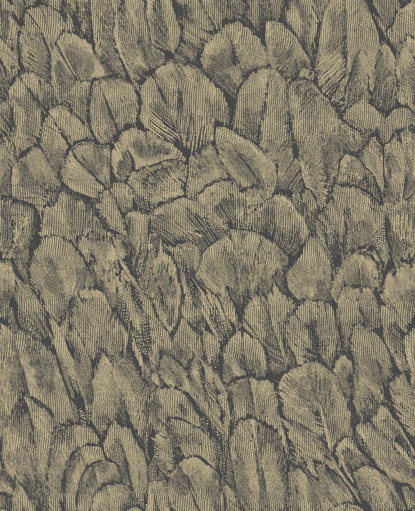 Tranquil Jet NW Aurora