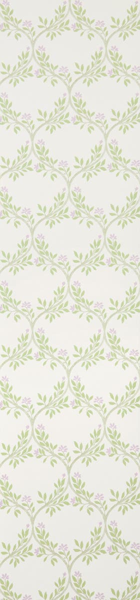 ARBER NC SIGNATURE ARBER SAGE/L