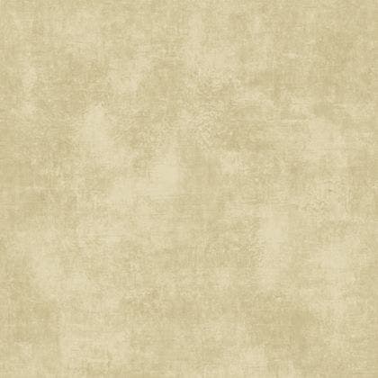 STONE SABLE SO COLOR 5