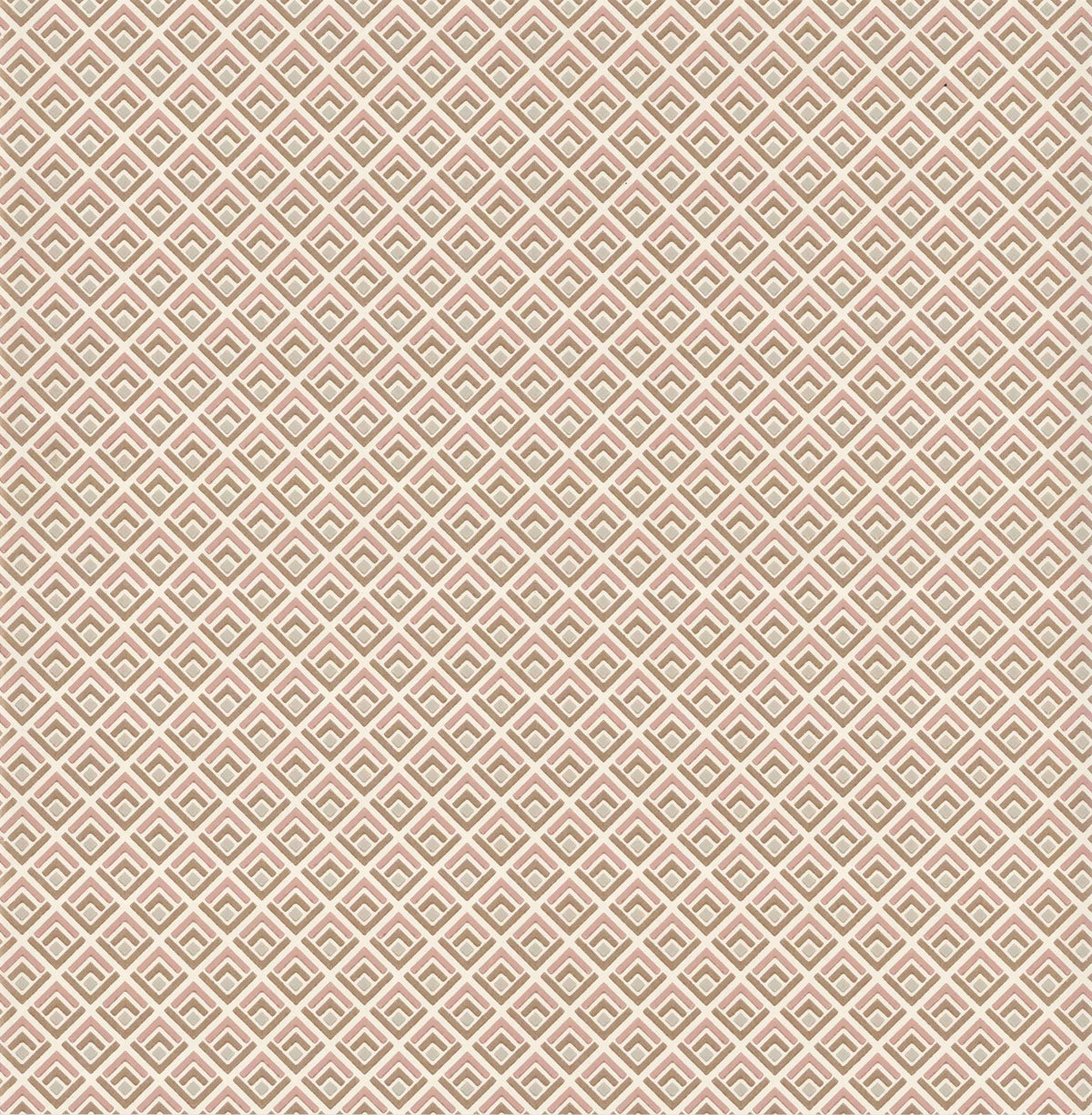 Carma - Gio NW Camellia