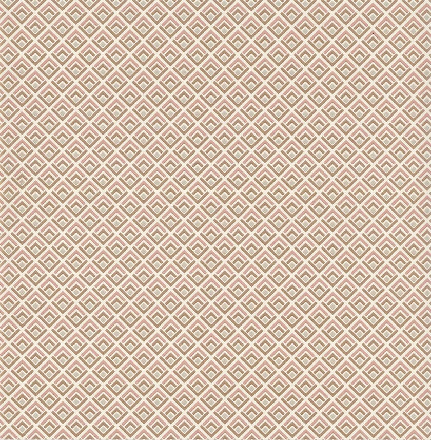 Carma - Gio NW Camellia