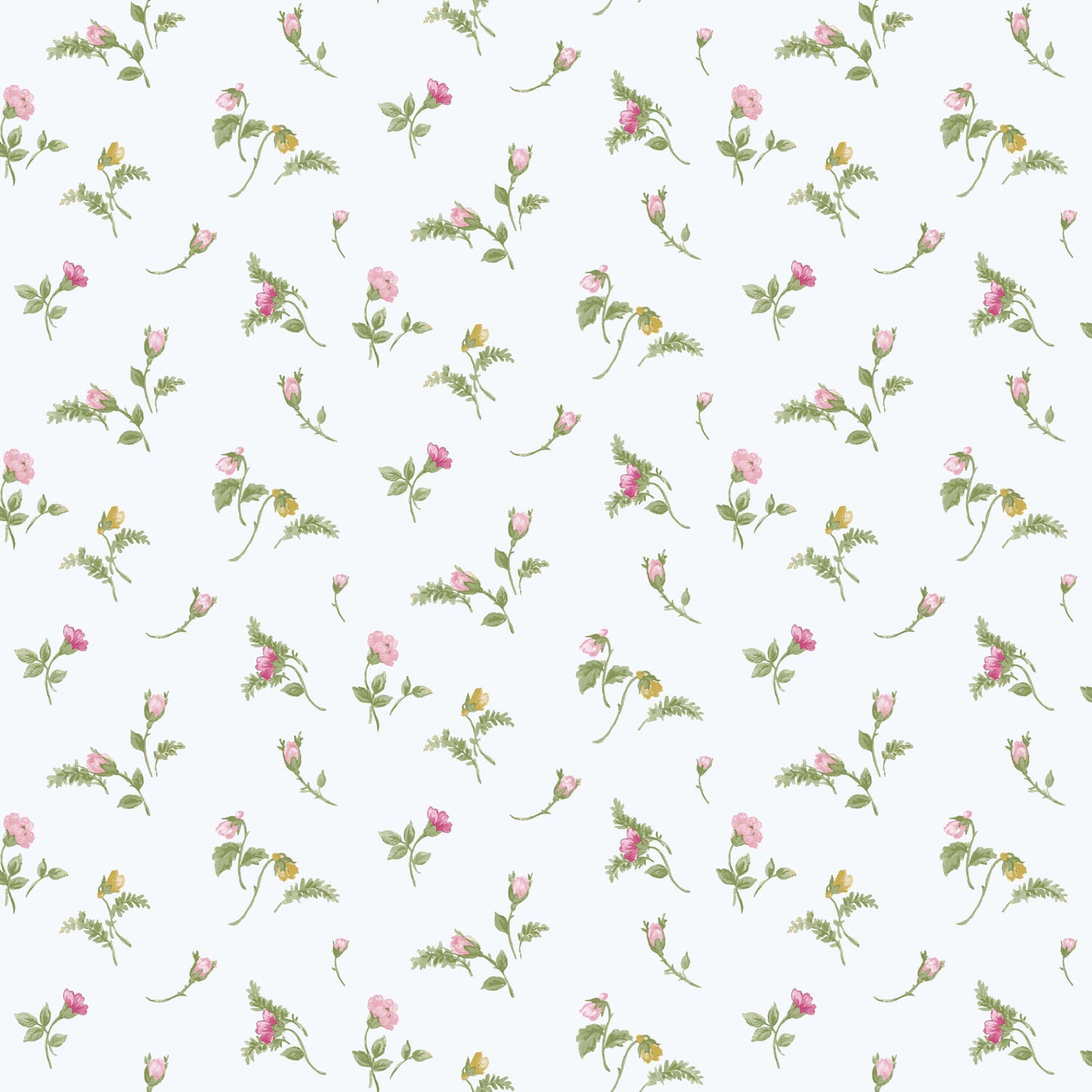 Carma - Blooming Garden