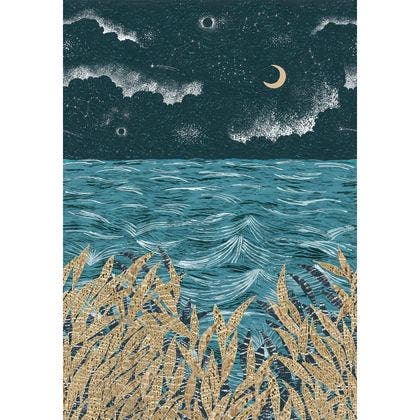 Casamance - Callisto Marine/Dore Nuit D'Orient