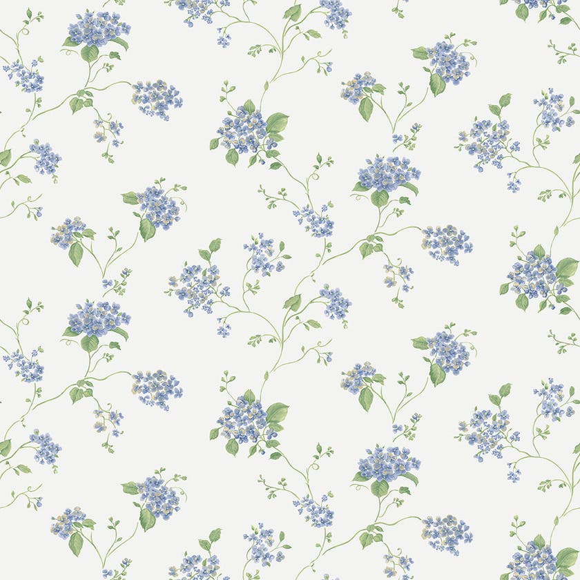 Hydrangea Trail