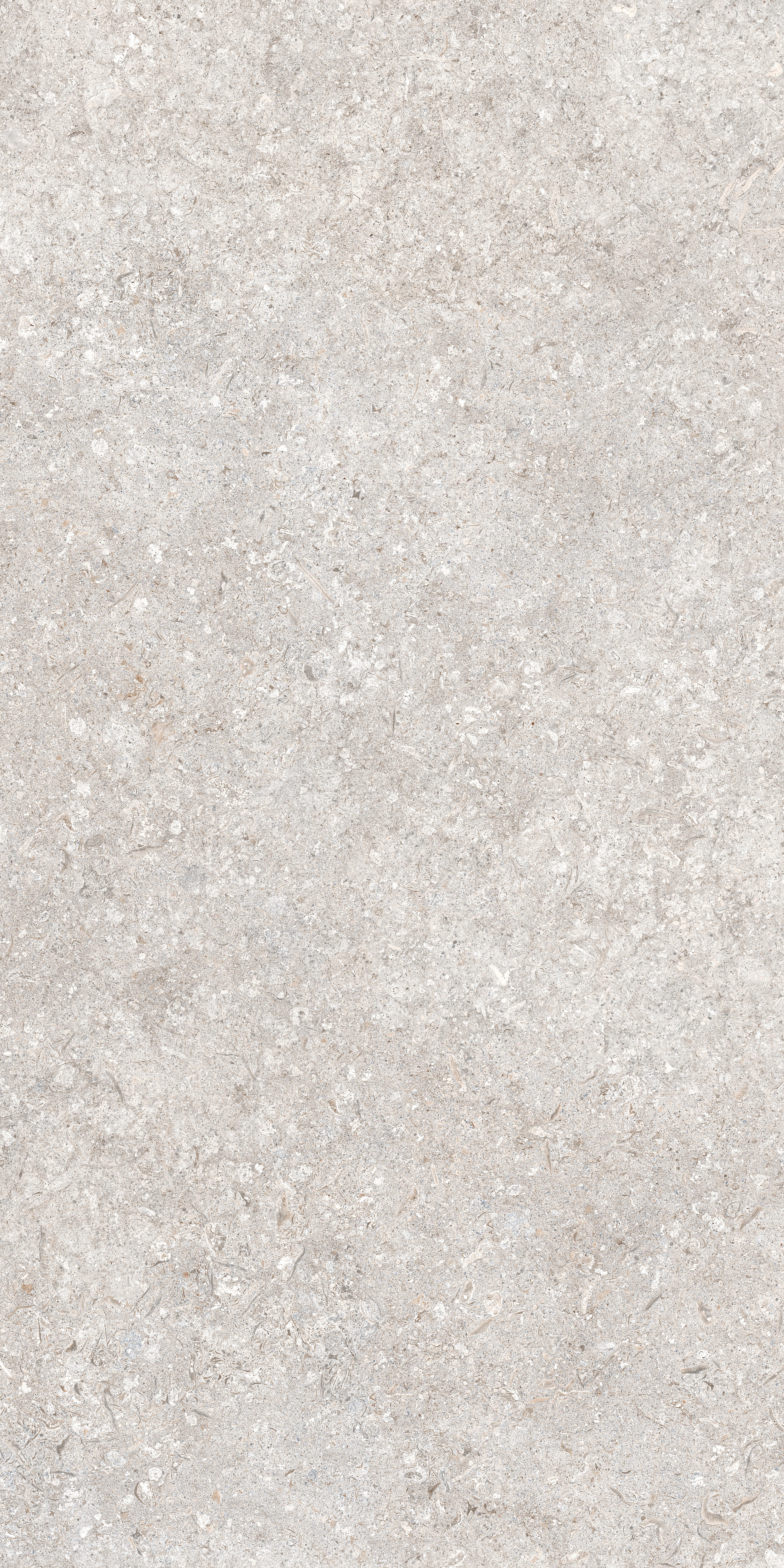 Sandö - Grey 60x120 såg