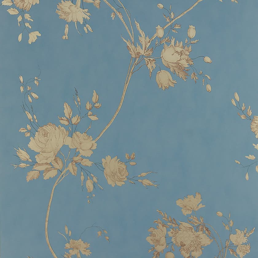 Darcy Old Blue