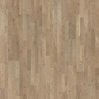 Shade | Ek Soft Beige Tres