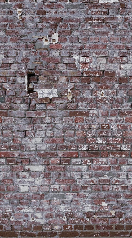 The Wall