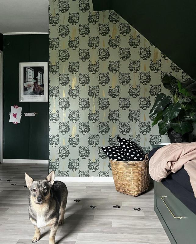 Coco Tiger Pistage LB1407