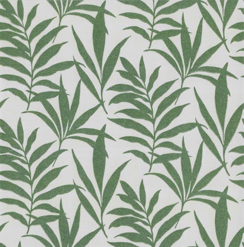 Carma - Verdi flock NW Camellia