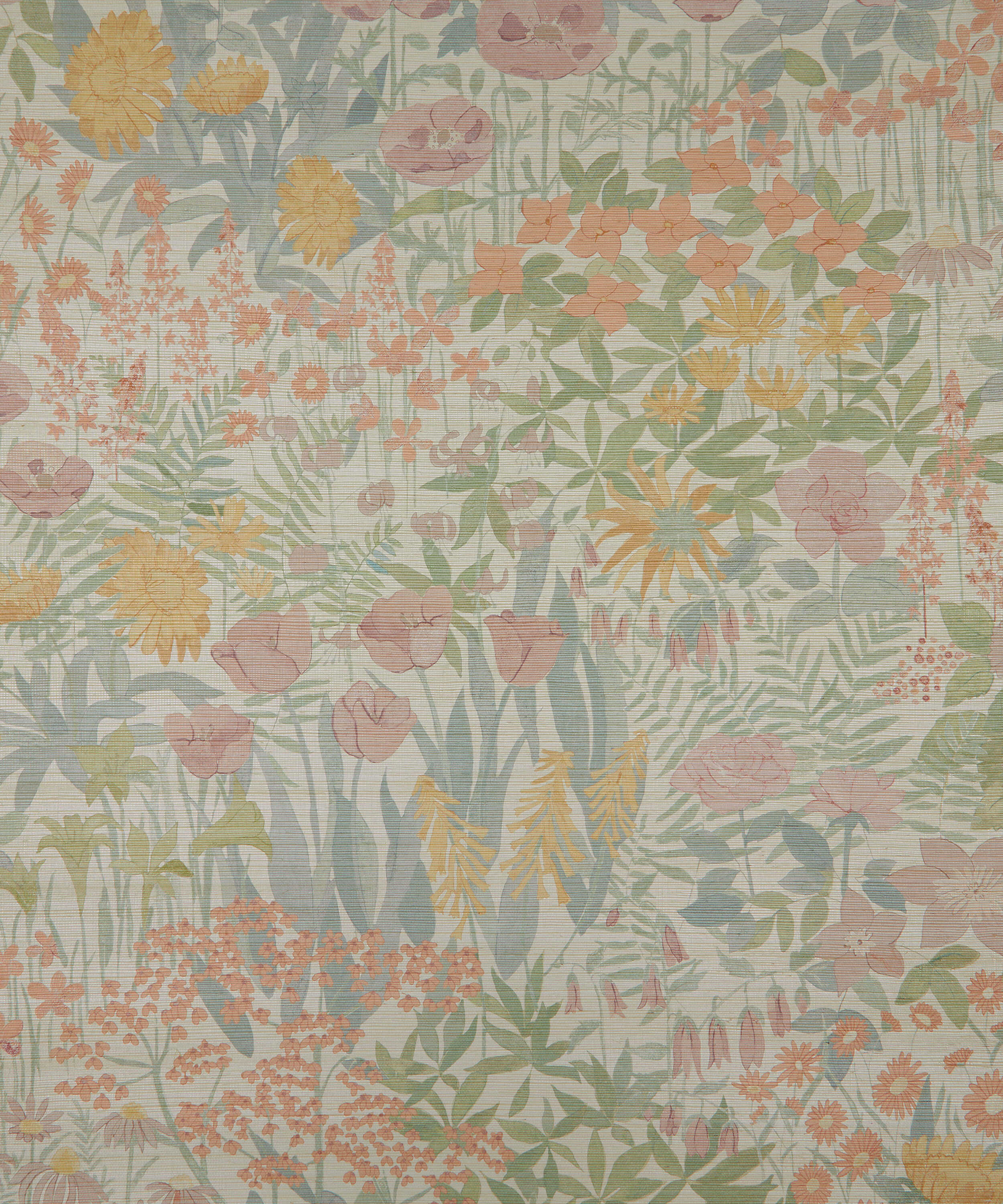 Liberty - Faria Flowers Salvia 