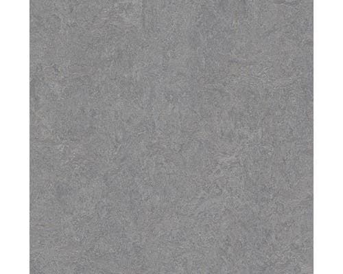 Marmoleum Click Eternity 60 x 30 cm