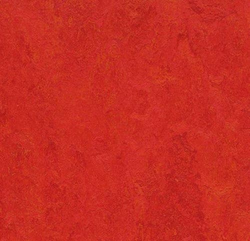 Marmoleum Click Scarlet 30 x 30 cm