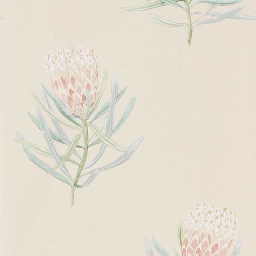 Sanderson - Protea Flower Russet/Green