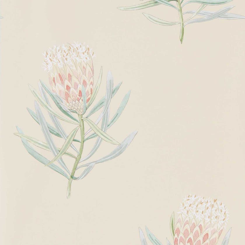 Sanderson - Protea Flower Russet/Green
