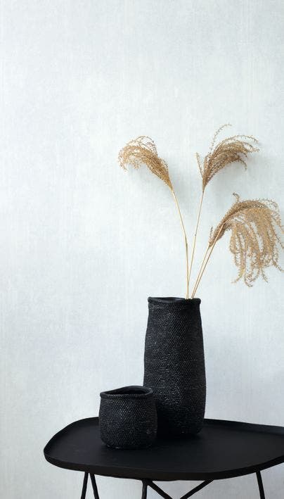 DELICACY UNI GLACON DELICACY