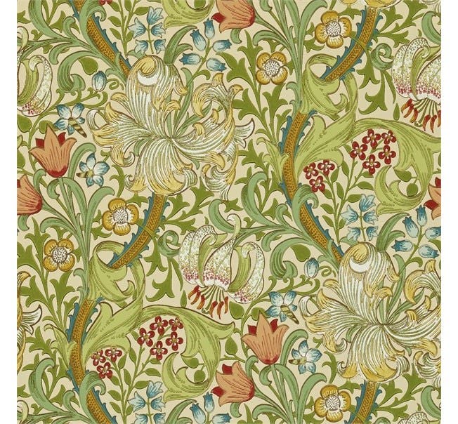 Golden Lily Pale Biscuit Morris 160th Anniversary