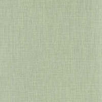 SHINOK AMANDE LE LIN 2