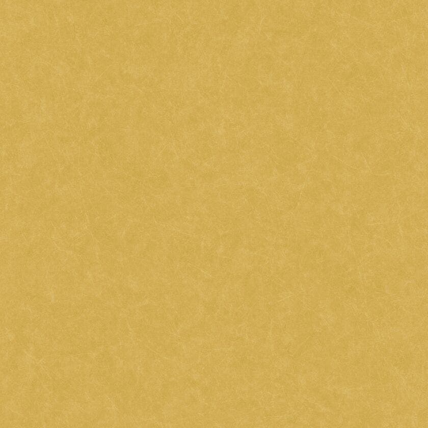 SO COLOR 4 UNI VERT MESTA SO COLOR 4