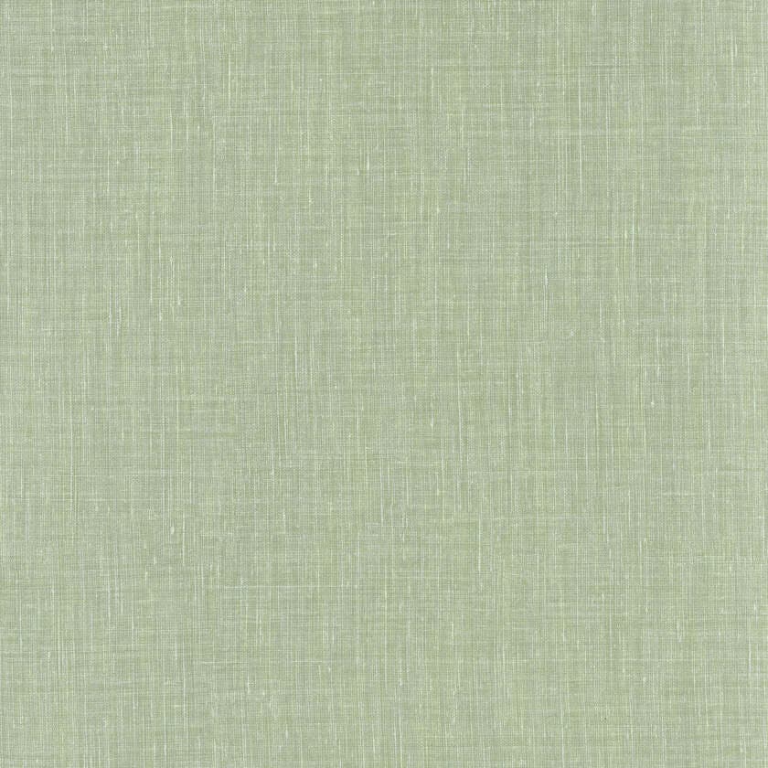 SHINOK AMANDE LE LIN 2