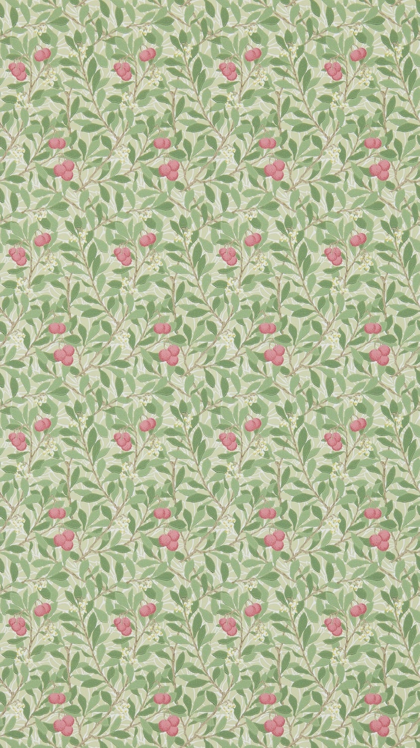 Morris & Co - Arbutus Olive/Pink Morris and Friends Wallpa