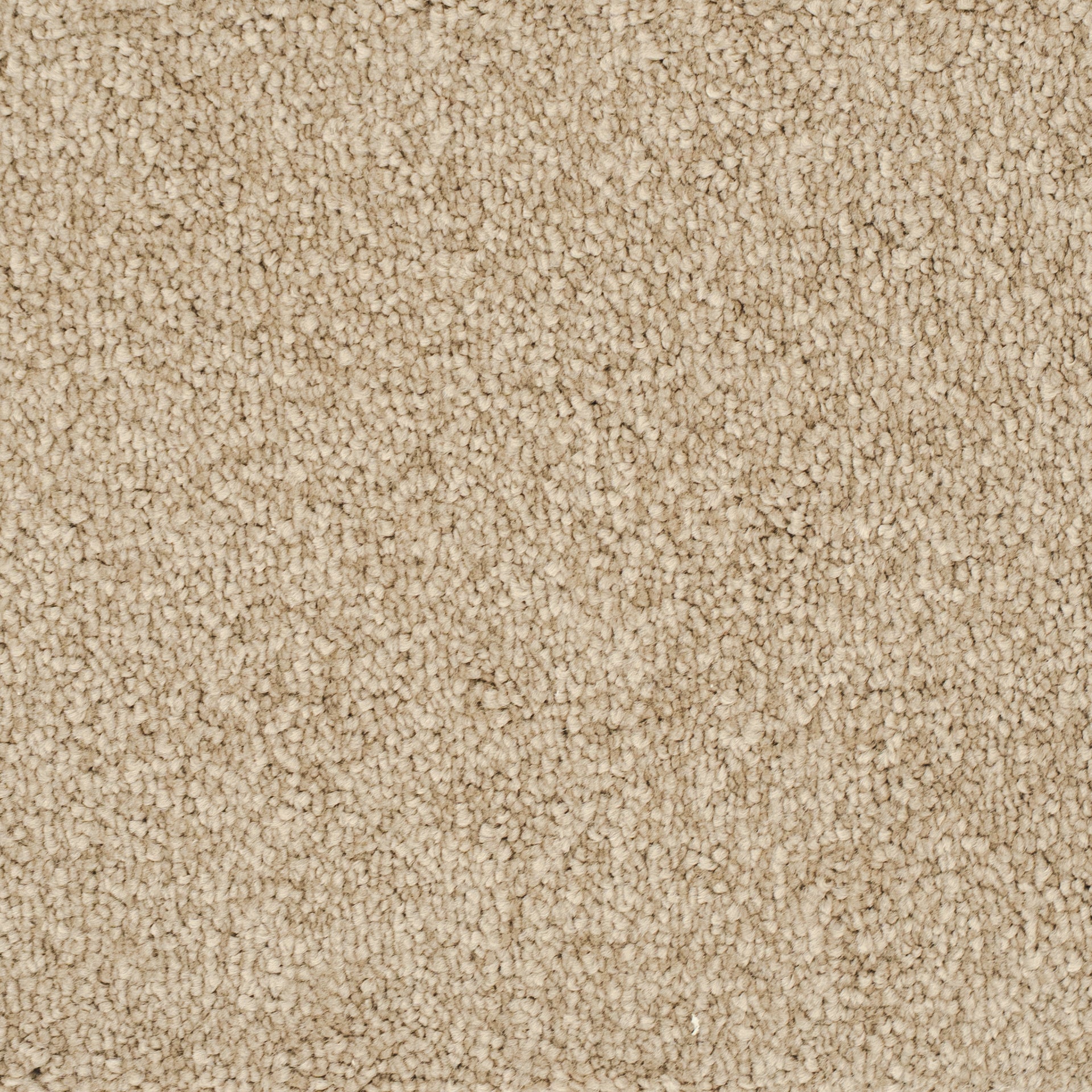 Euphoria Nougat 37 - Kjellbergs Textilgolv
