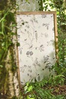 Woodland Chorus Sepia/Neu Country Woodland Wallcove