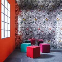 Osborne & Little - Butterfly Garden Multi