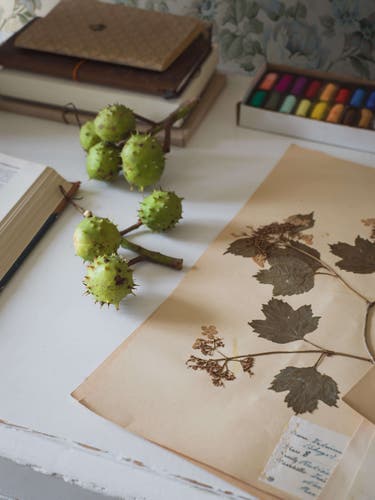 Boråstapeter - Hortensia