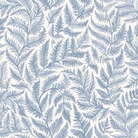 Ferns