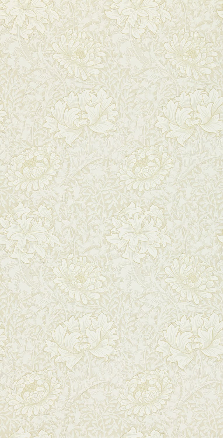 Morris & Co - Chrysanthemum Chalk Morris 160th Anniversary