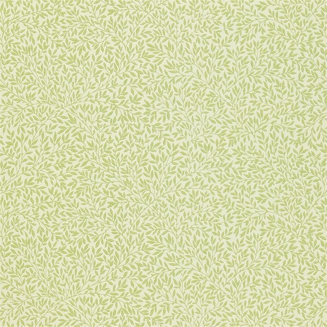 Morris & Co - Standen Fennel Morris 160th Anniversary