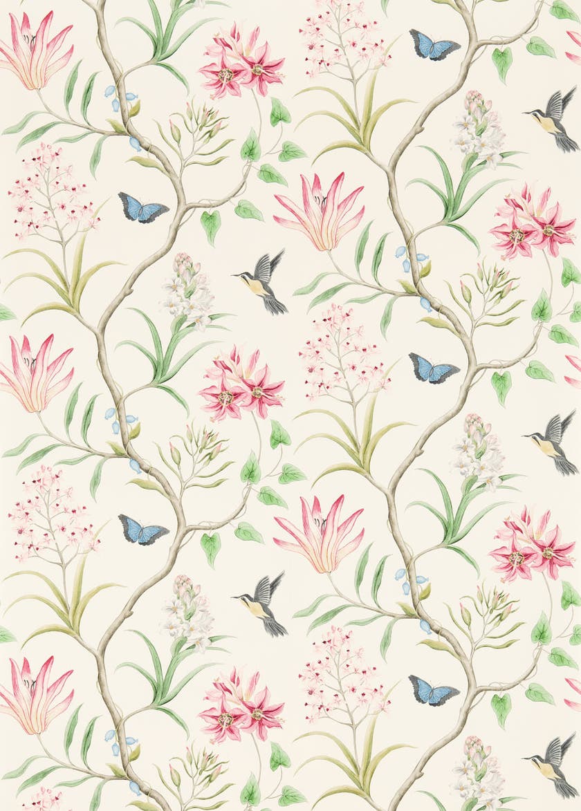 Sanderson - Clementine Chintz Sanderson One Sixty Wallp