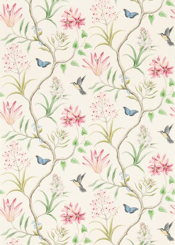 Sanderson - Clementine Chintz Sanderson One Sixty Wallp