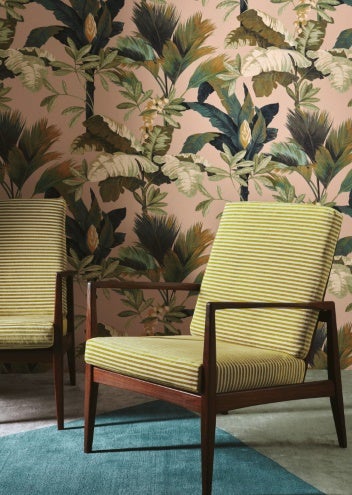 Manuel Canovas - Salengro Peche