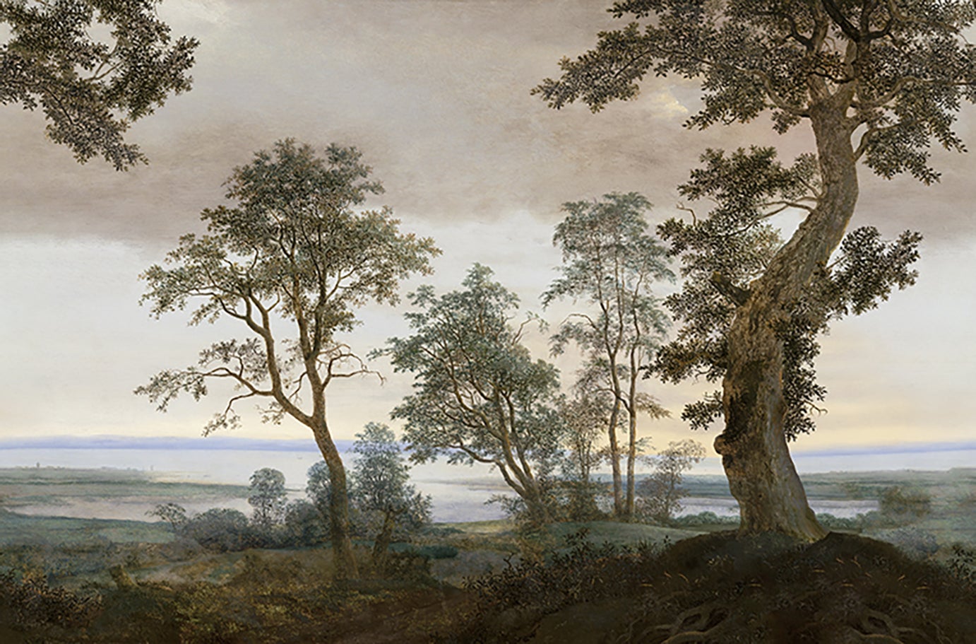 Eijffinger Intrade - Vista Sunrise
