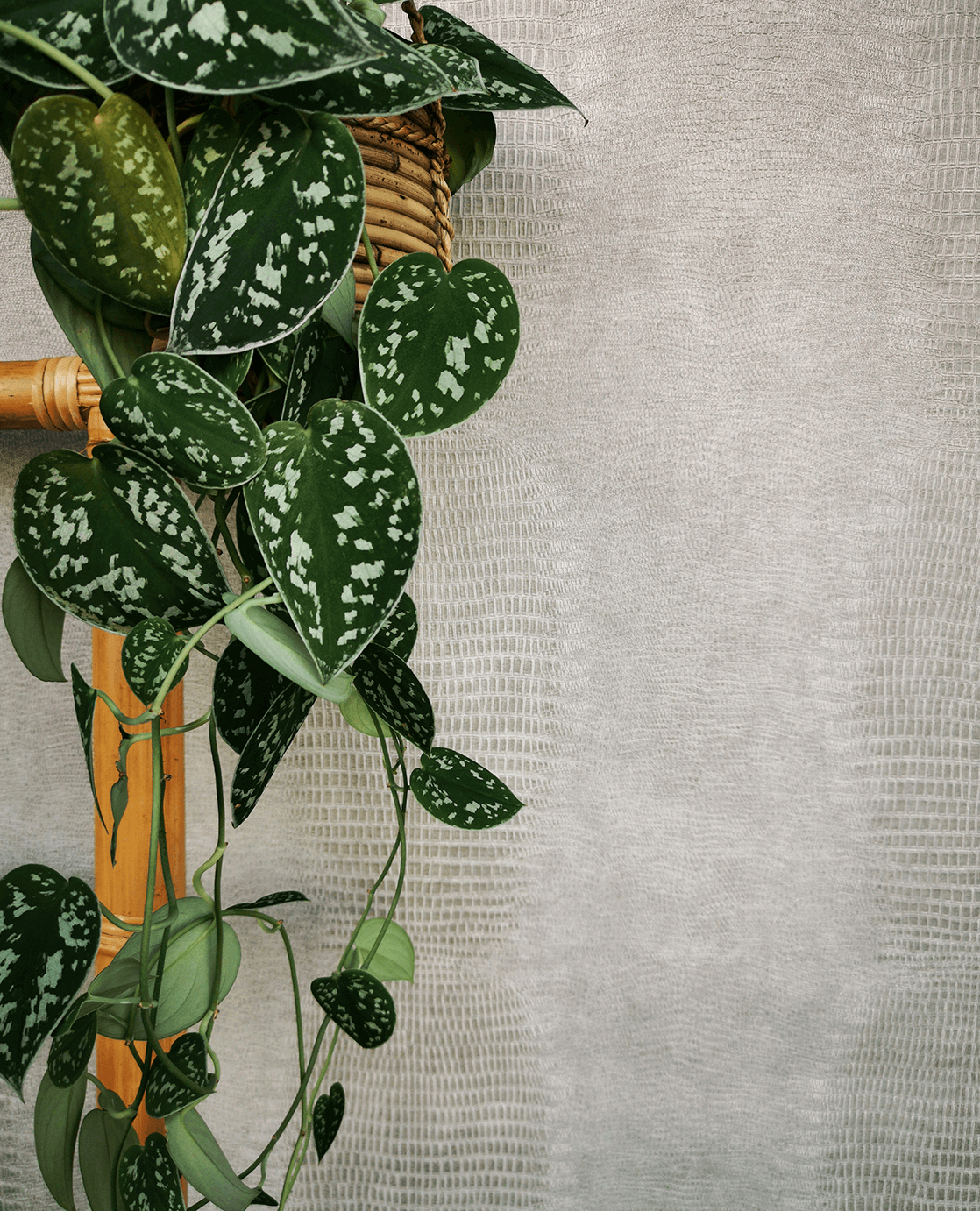 Eijffinger Intrade - Unify