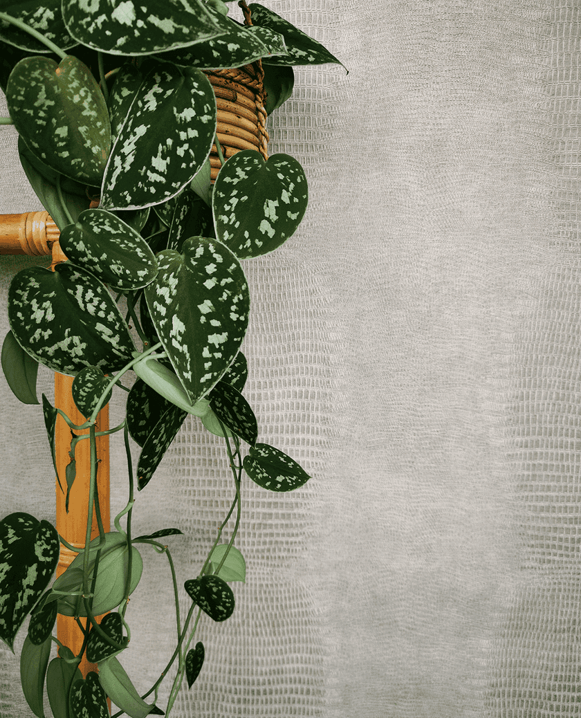 Eijffinger Intrade - Unify