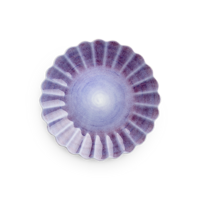 Oyster Tallrik 28 cm Viol