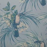 Le Toucan NW Elodie