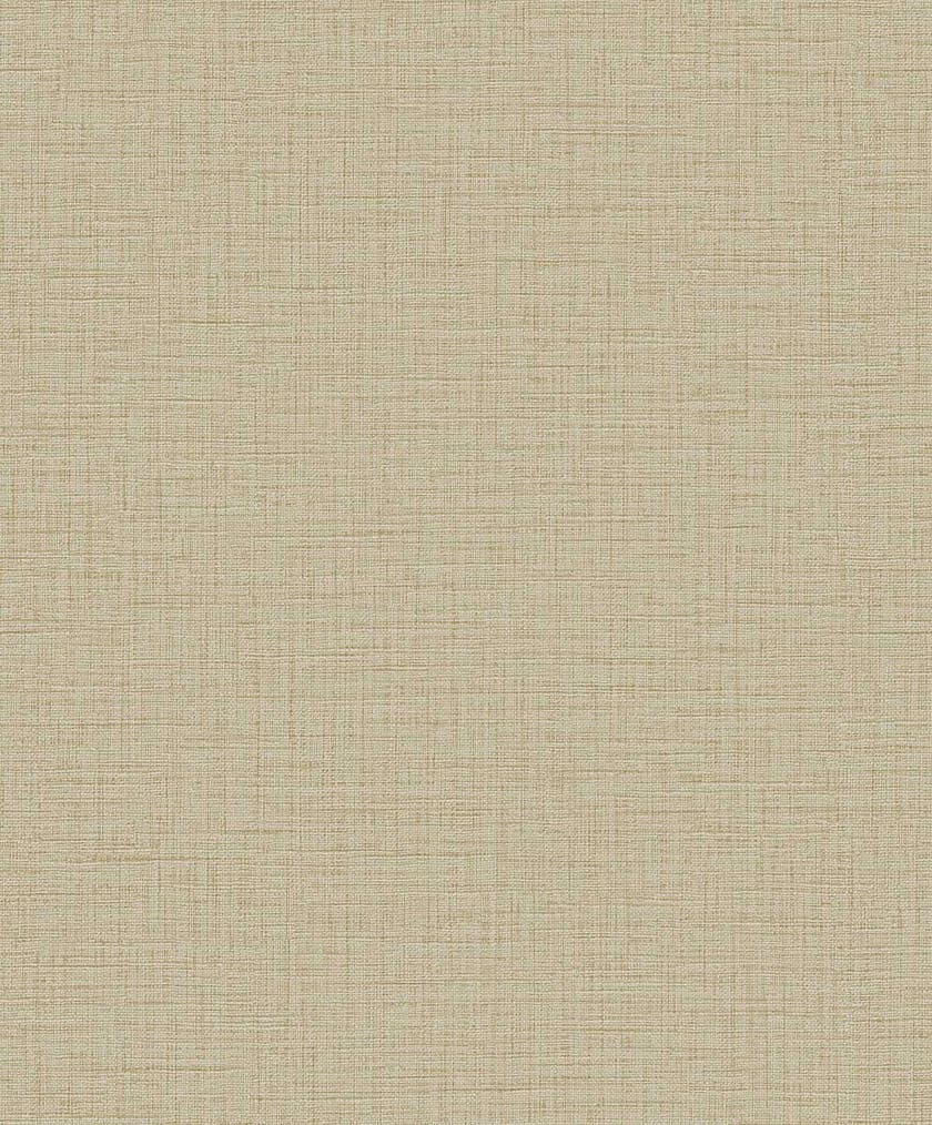 Carma - Texture Palette