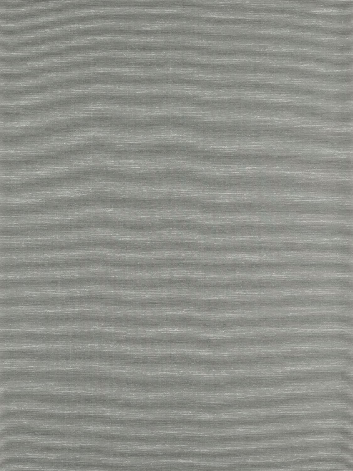 Zoffany - Rushes Silver Birch Kensington Walk Wallpaper